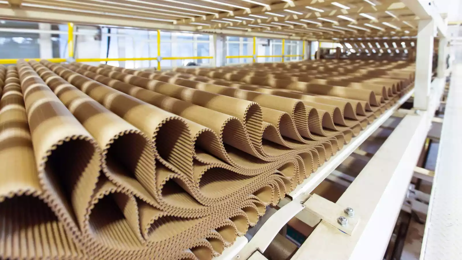 Indian Paper Industry